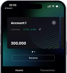 TEIZA wallet app on phone